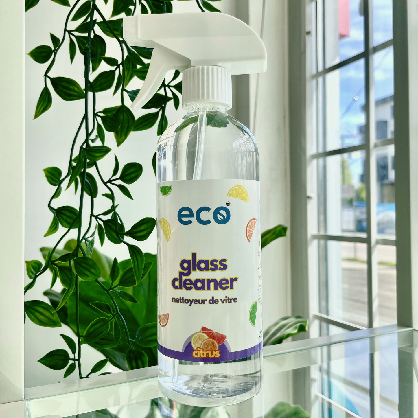 Streak-free windows and glass shelves with Eco Refillery's glass cleaner.