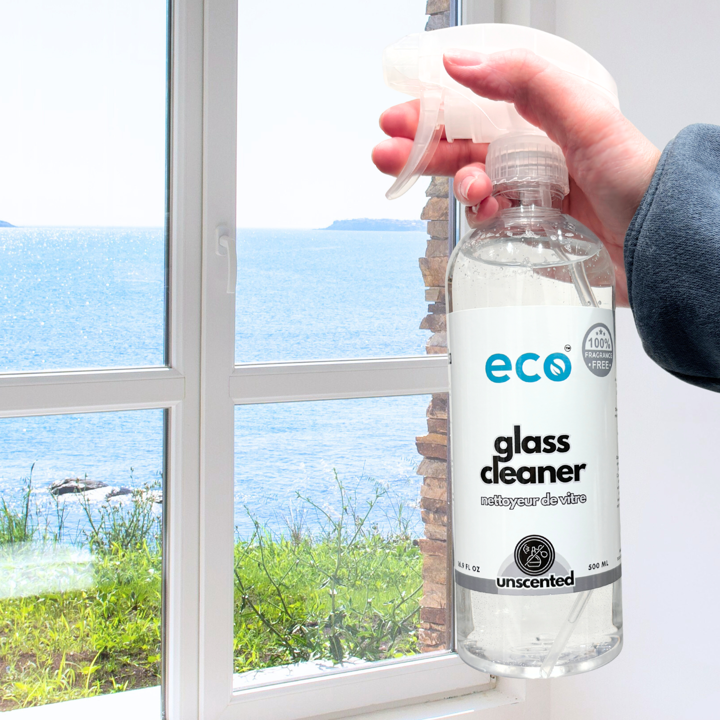 Glass Cleaner - Unscented