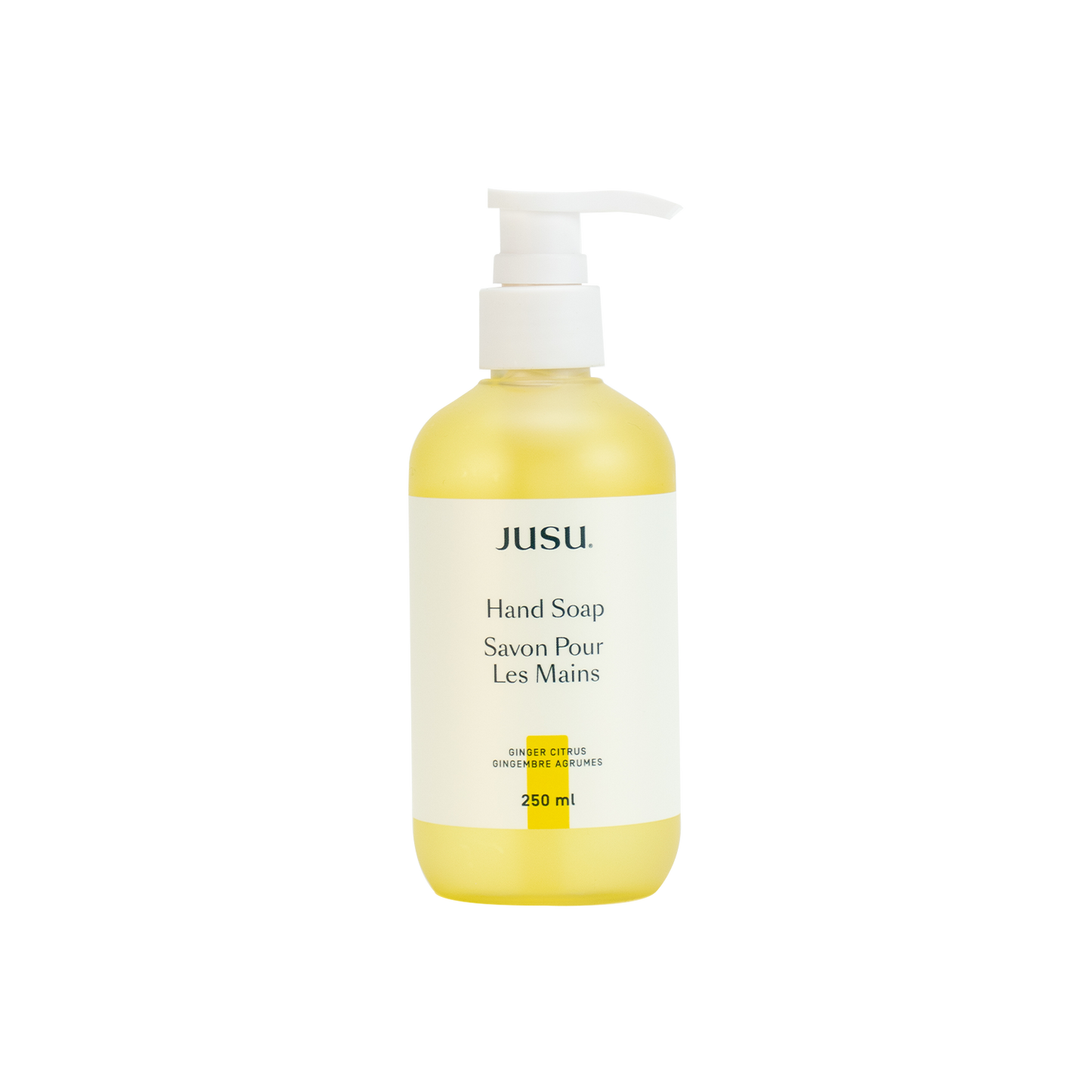 250ML Hand Soap - Ginger Citrus